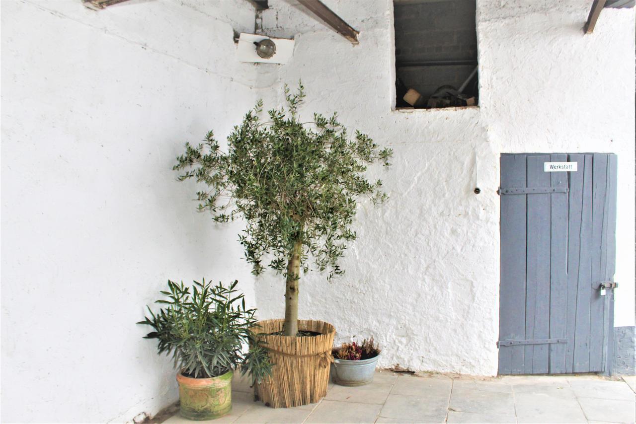 Wunderschoene Ferienwohnung Bruchhausen  エクステリア 写真